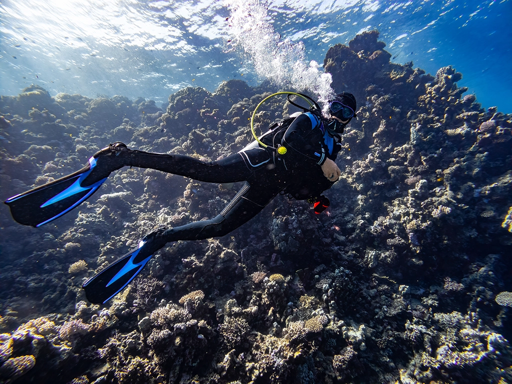 advance open water